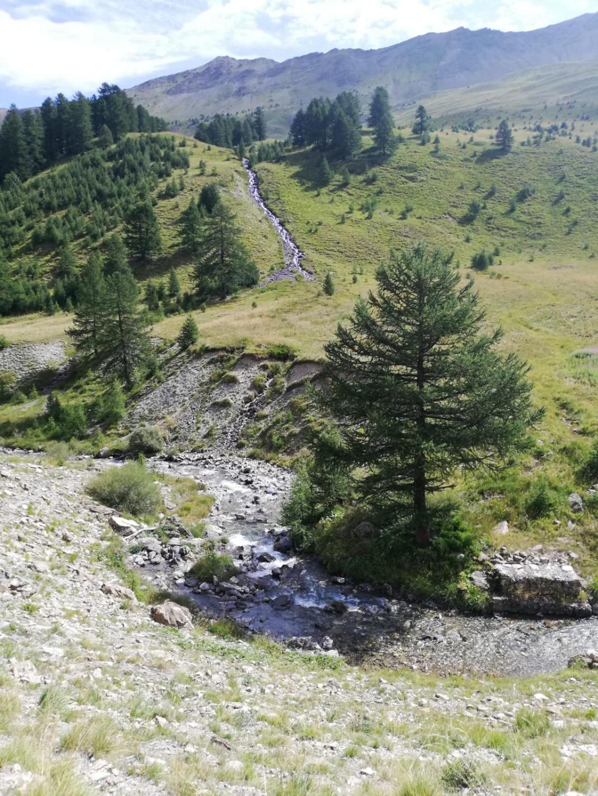 App Vue Montagne Barcelonnette Proche Piscine Rando Riviere Nature Zewnętrze zdjęcie